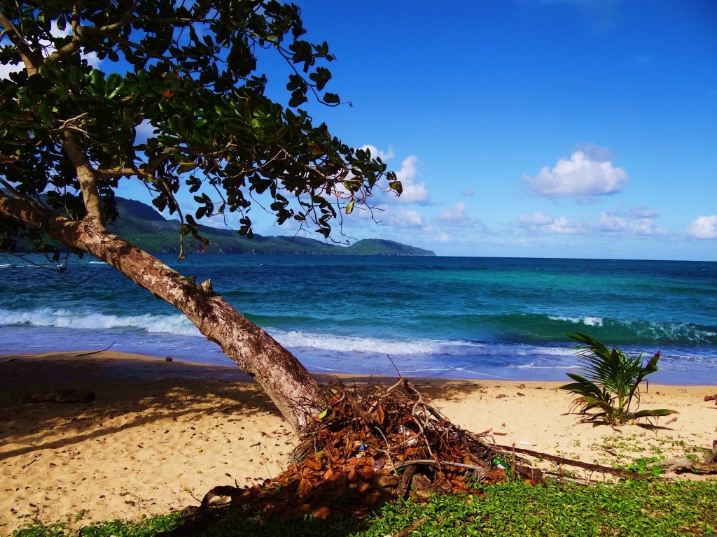 Foto: Playa Rincón - Playa Rincón (Samaná), República Dominicana