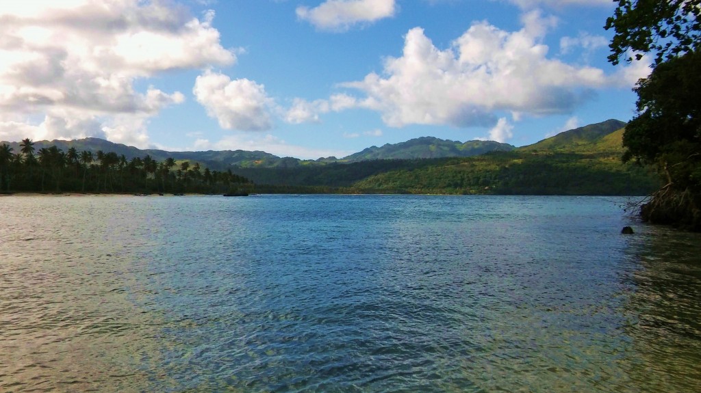 Foto: Playa Rincón - Playa Rincón (Samaná), República Dominicana