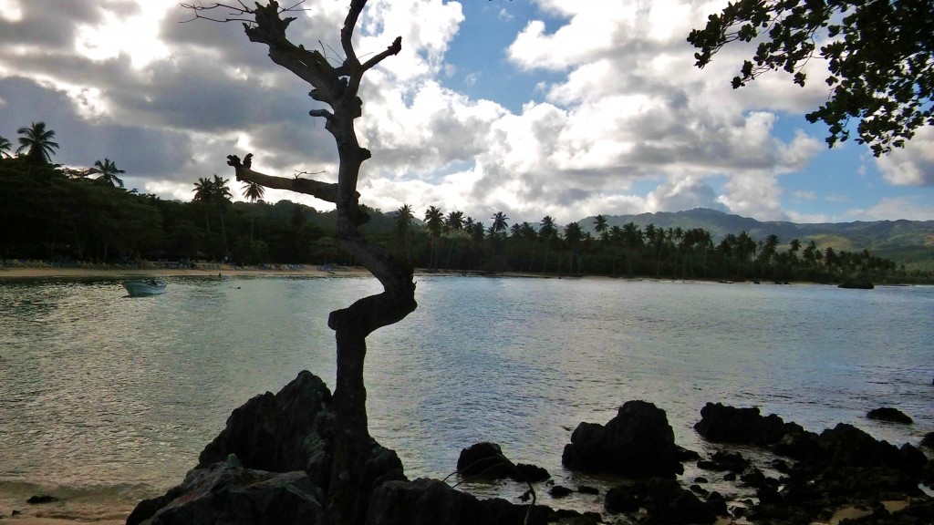 Foto: Playa Rincón - Playa Rincón (Samaná), República Dominicana