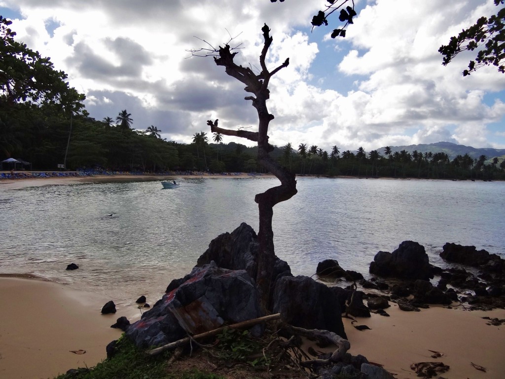 Foto: Playa Rincón - Playa Rincón (Samaná), República Dominicana