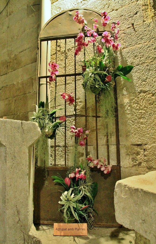 Foto: Tiempo de flores - Girona (Cataluña), España