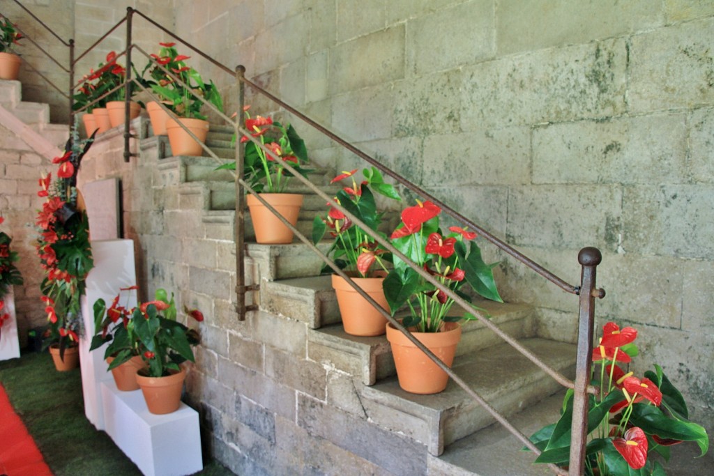 Foto: Tiempo de flores - Girona (Cataluña), España