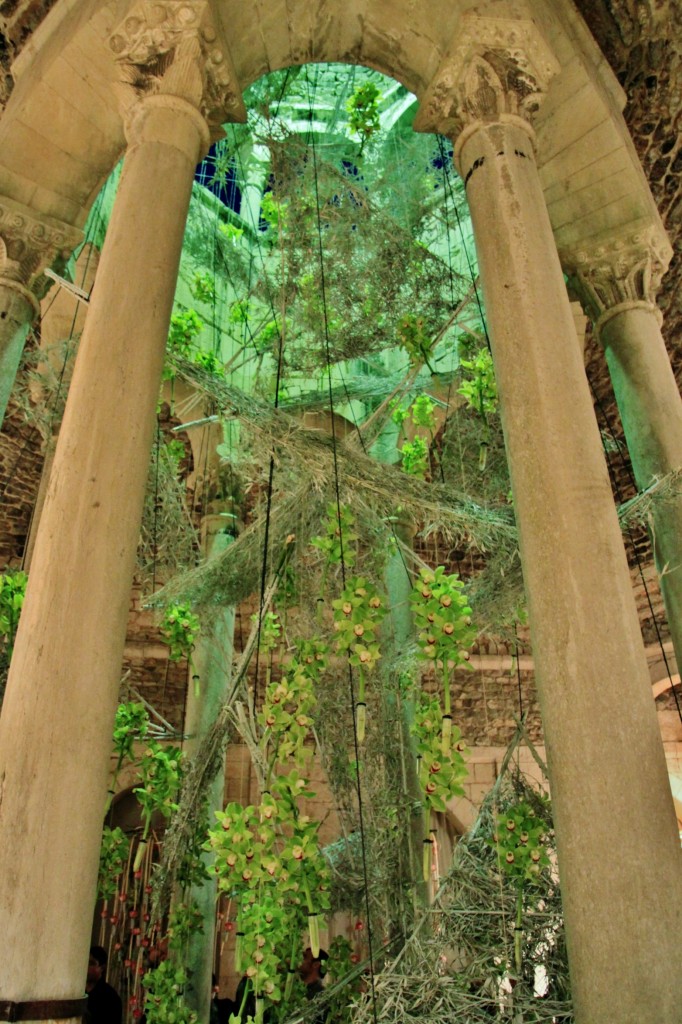 Foto: Tiempo de flores - Girona (Cataluña), España