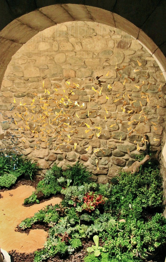 Foto: Tiempo de flores - Girona (Cataluña), España