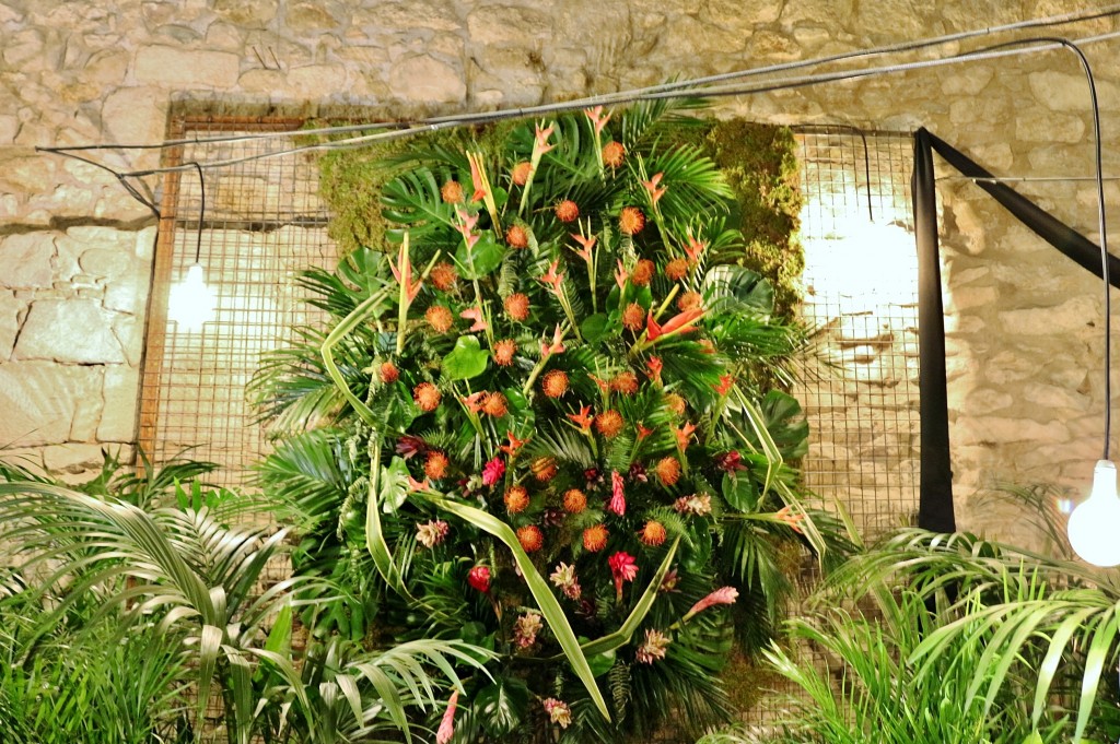 Foto: Tiempo de flores - Girona (Cataluña), España