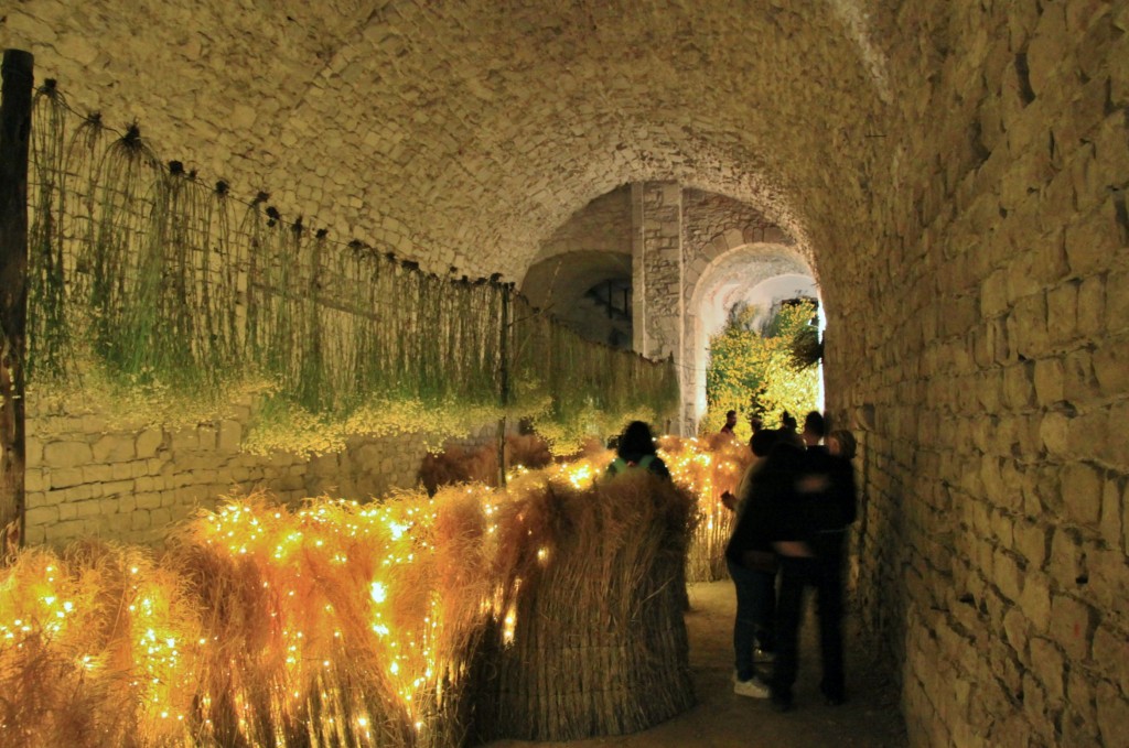 Foto: Tiempo de flores - Girona (Cataluña), España