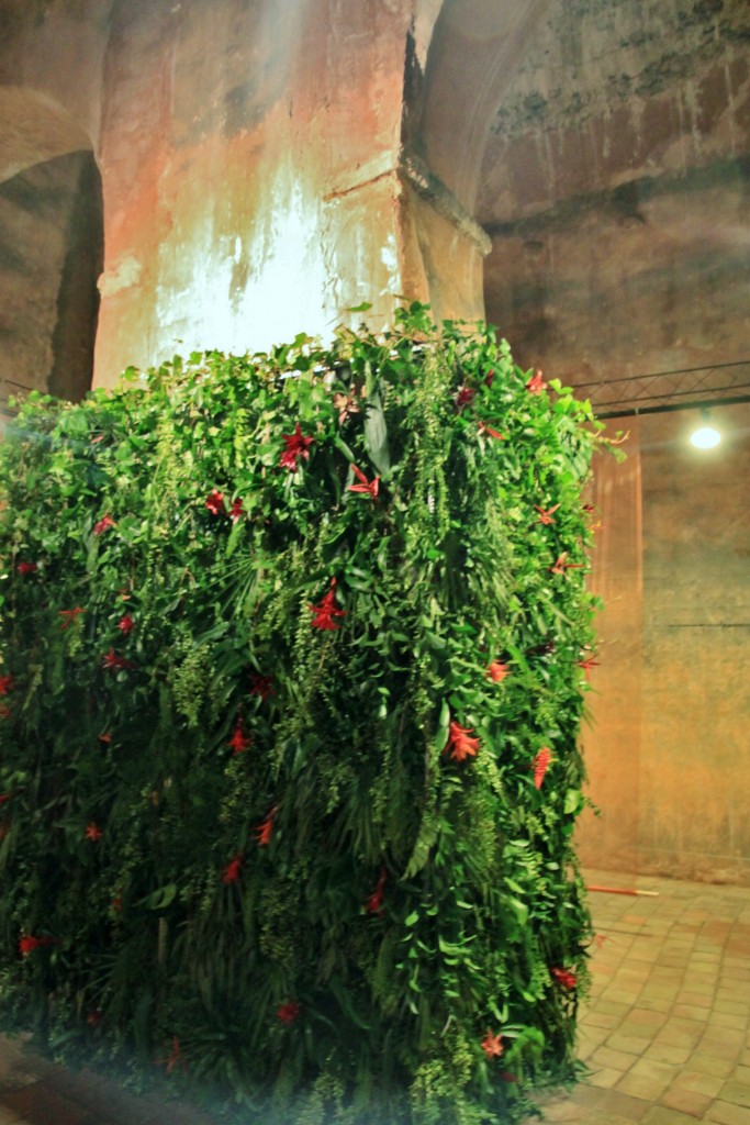 Foto: Tiempo de flores - Girona (Cataluña), España