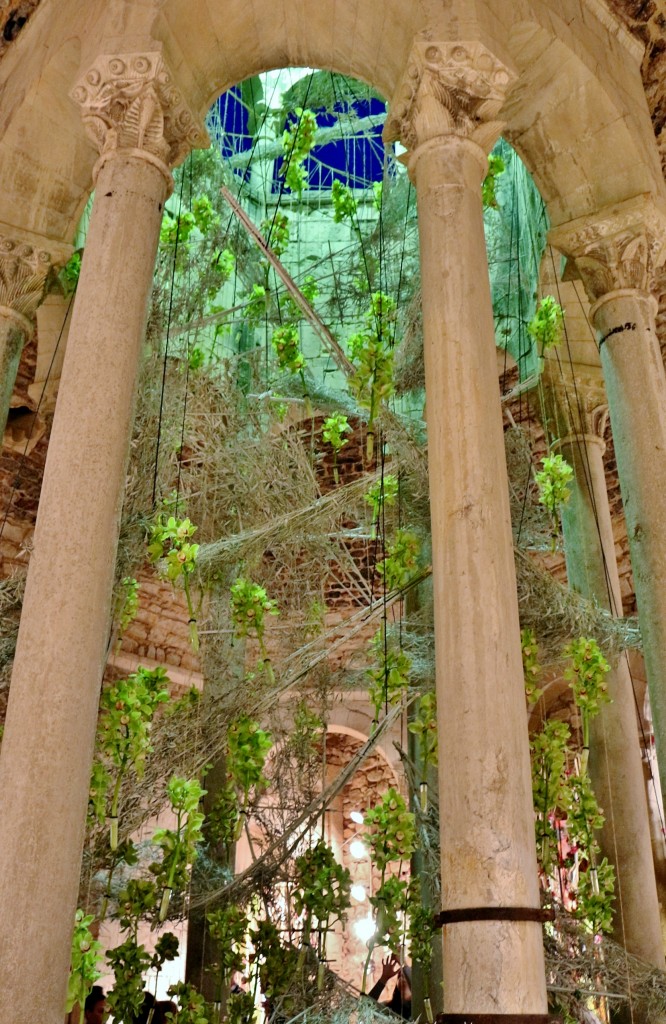 Foto: Tiempo de flores - Girona (Cataluña), España