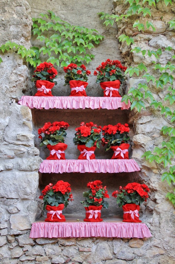 Foto: Tiempo de flores - Girona (Cataluña), España