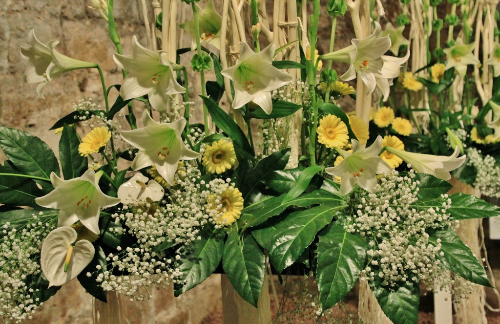 Foto: Tiempo de flores - Girona (Cataluña), España