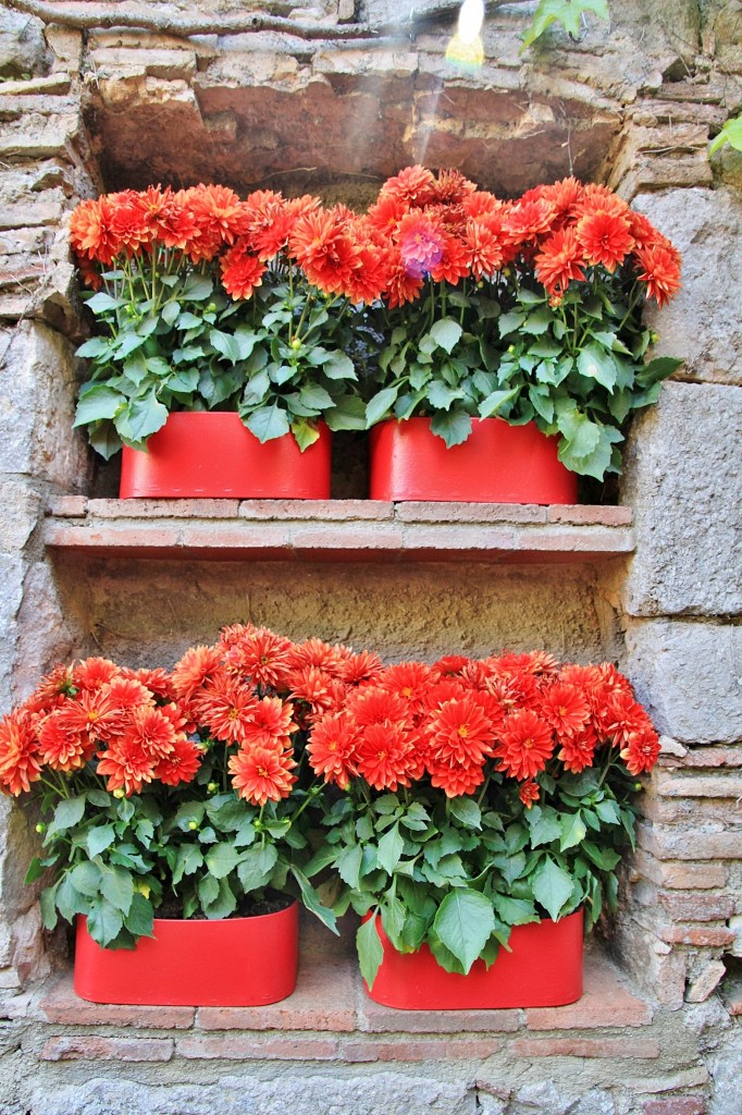 Foto: Tiempo de flores - Girona (Cataluña), España