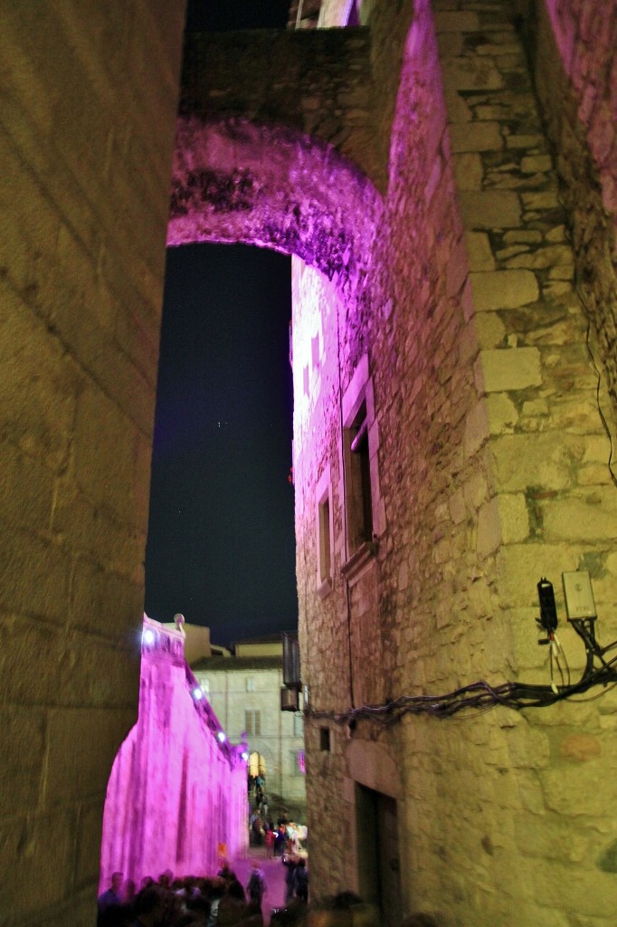 Foto: Tiempo de flores - Girona (Cataluña), España