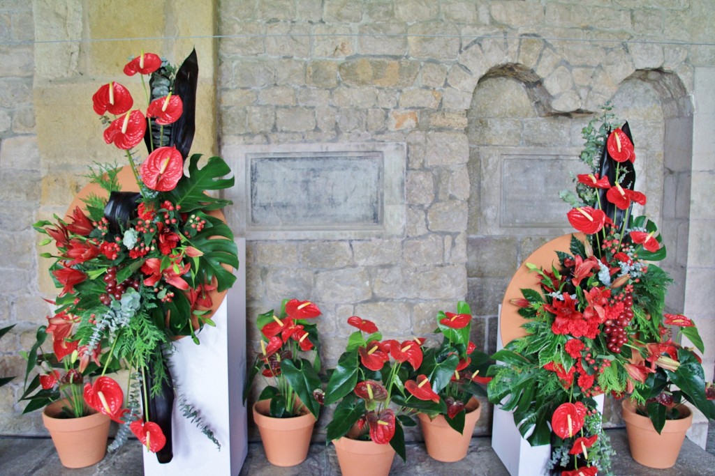 Foto: Tiempo de flores - Girona (Cataluña), España