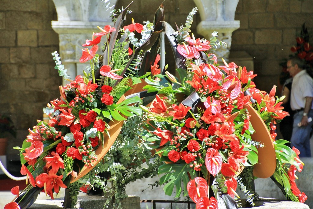 Foto: Tiempo de flores - Girona (Cataluña), España