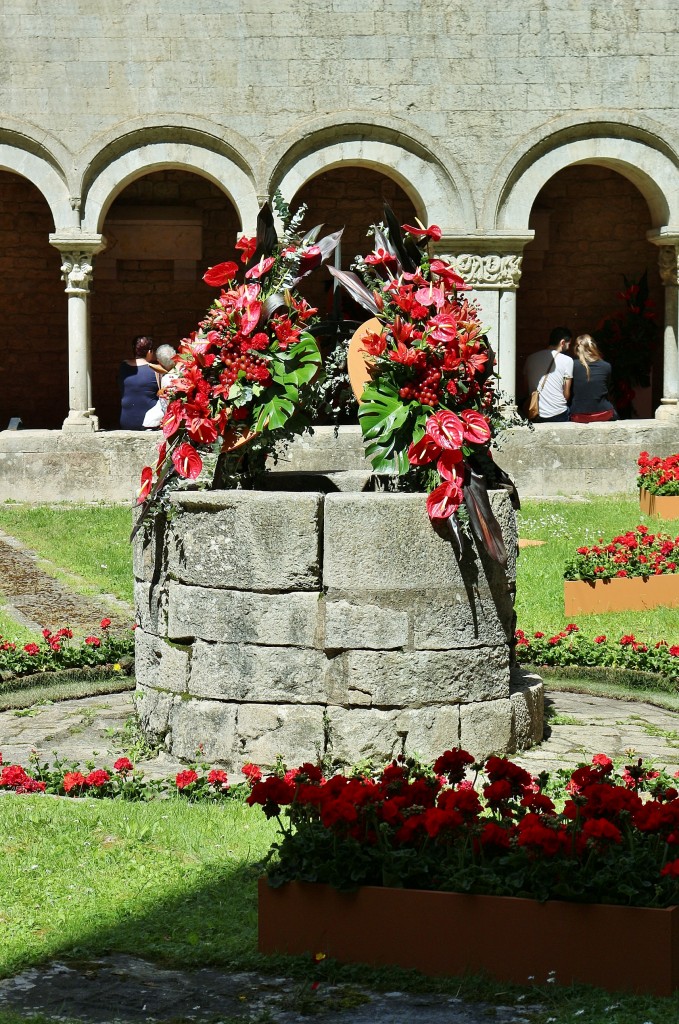 Foto: Tiempo de flores - Girona (Cataluña), España