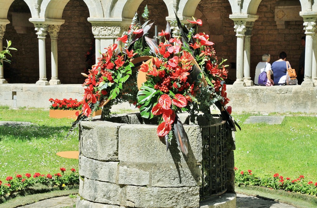 Foto: Tiempo de flores - Girona (Cataluña), España