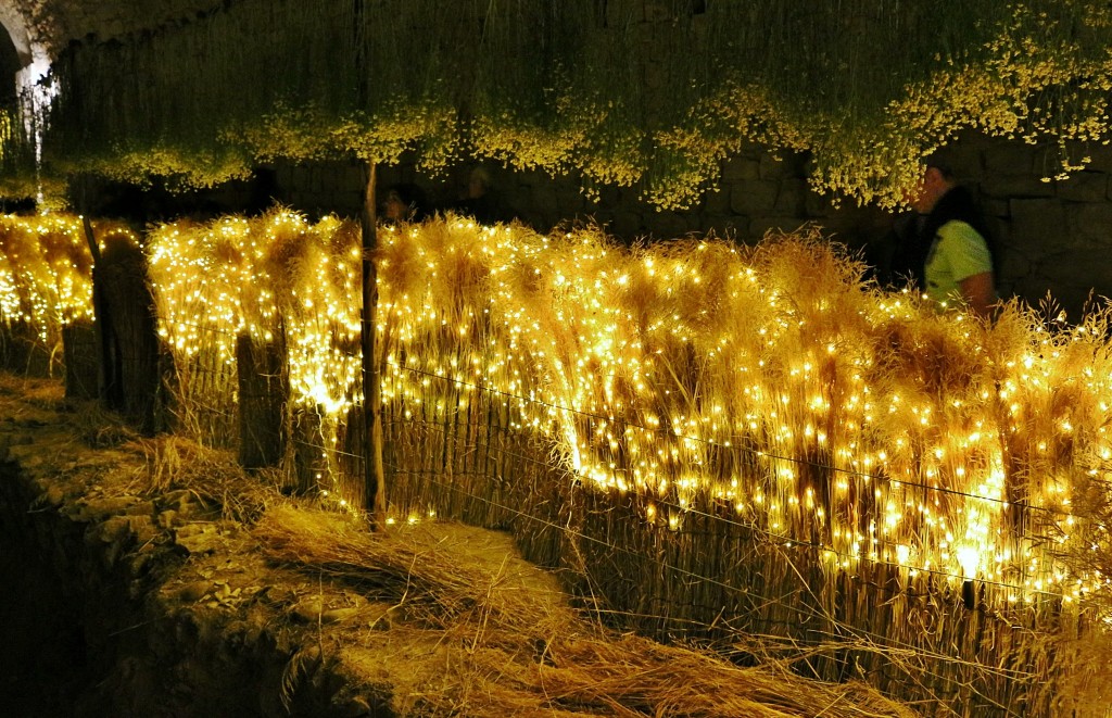 Foto: Tiempo de flores - Girona (Cataluña), España