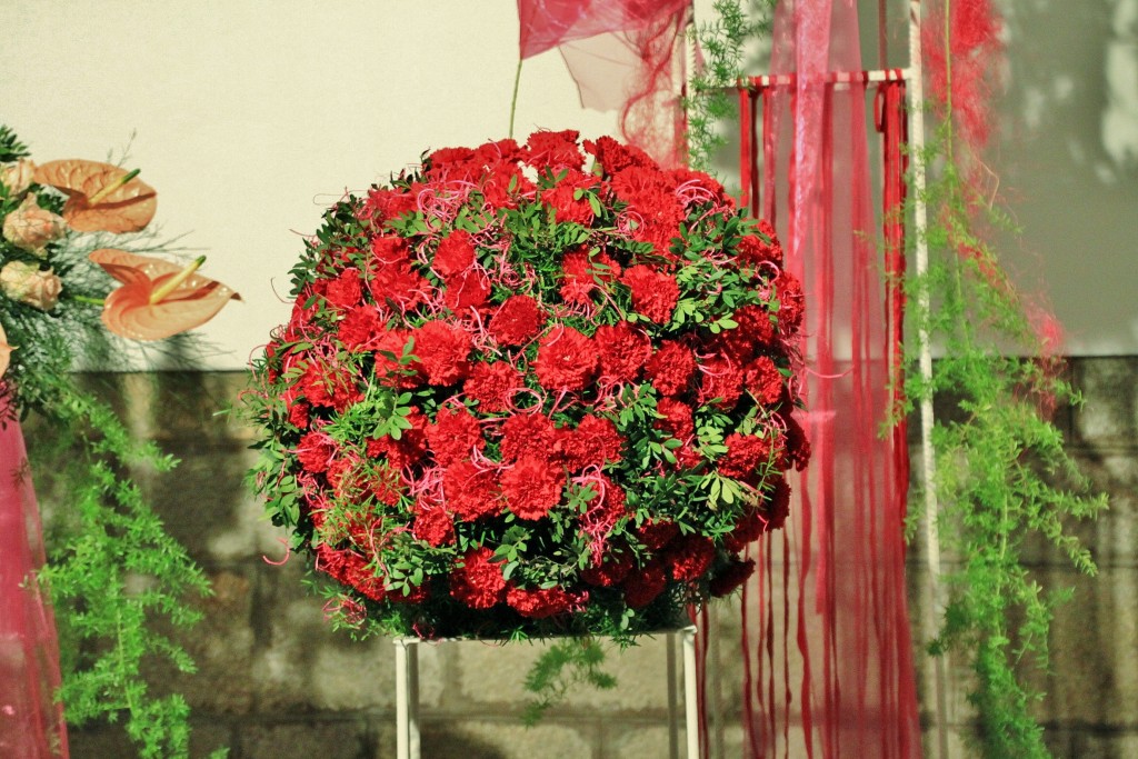 Foto: Tiempo de flores - Girona (Cataluña), España