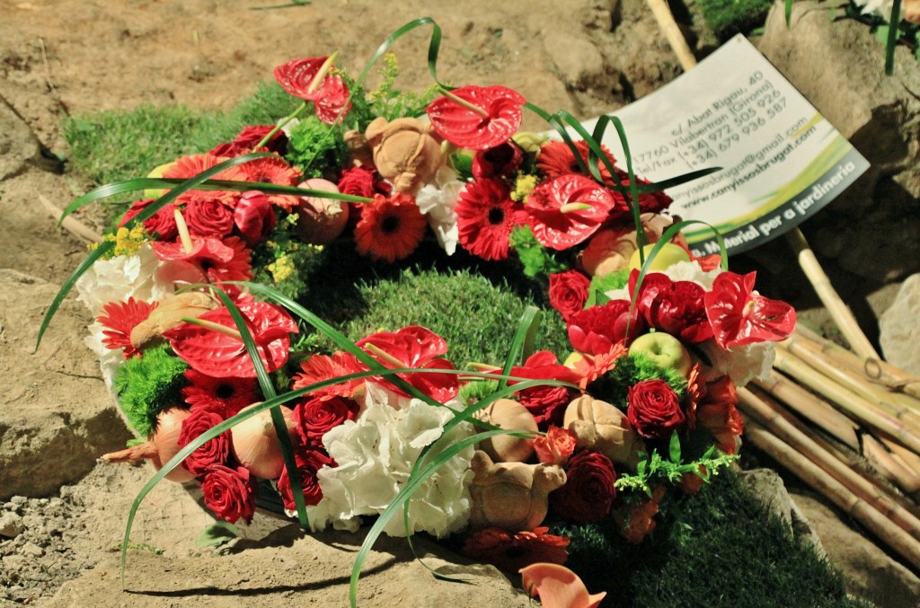 Foto: Tiempo de flores - Girona (Cataluña), España