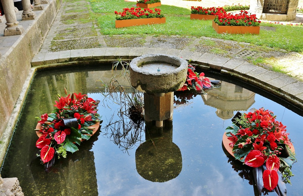 Foto: Tiempo de flores - Girona (Cataluña), España