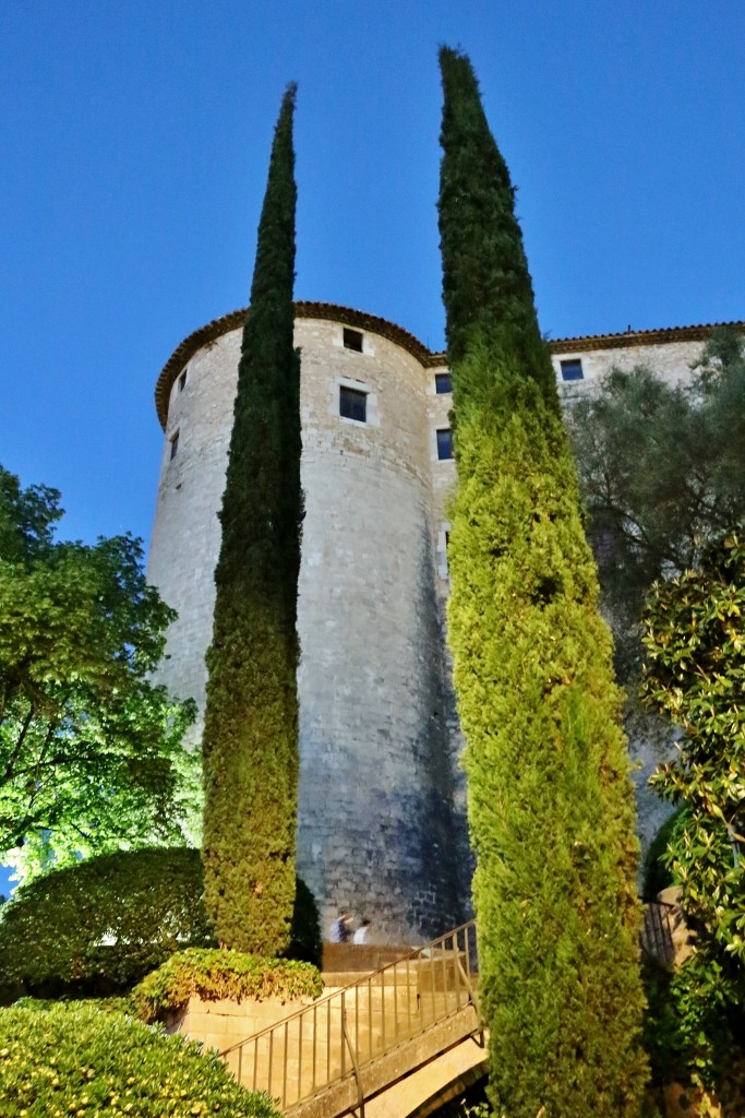 Foto: Tiempo de flores - Girona (Cataluña), España