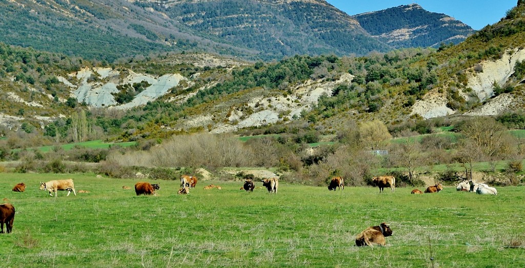 Foto: Paisaje - Jaca (Huesca), España