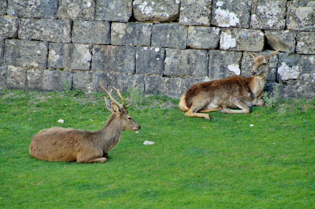 Foto: Fortaleza - Jaca (Huesca), España