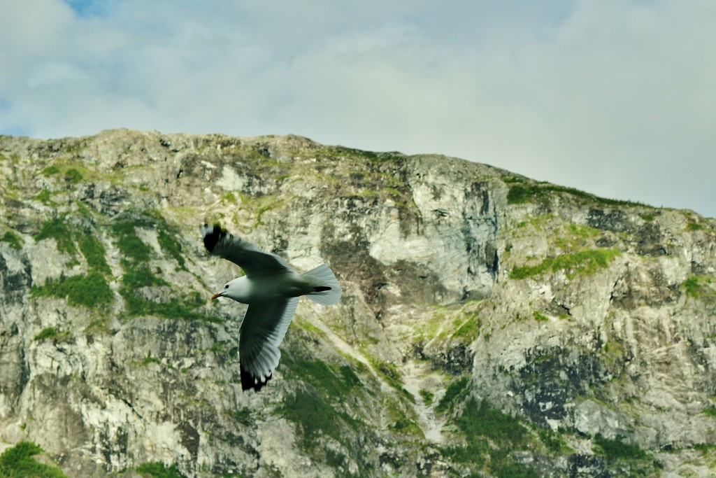 Foto: Navegando - Flam (Sogn og Fjordane), Noruega