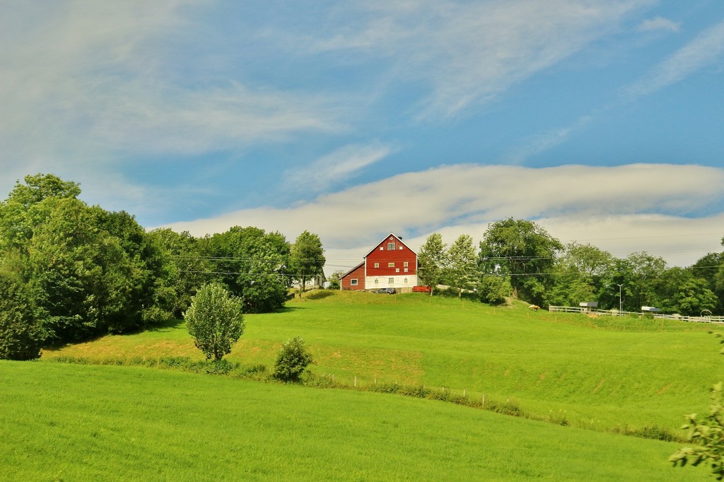 Foto: Tren turístico - Flam (Sogn og Fjordane), Noruega