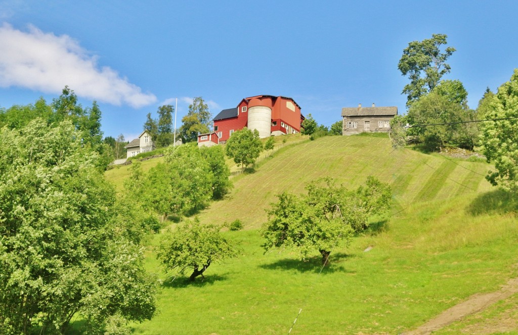 Foto: Tren turístico - Flam (Sogn og Fjordane), Noruega