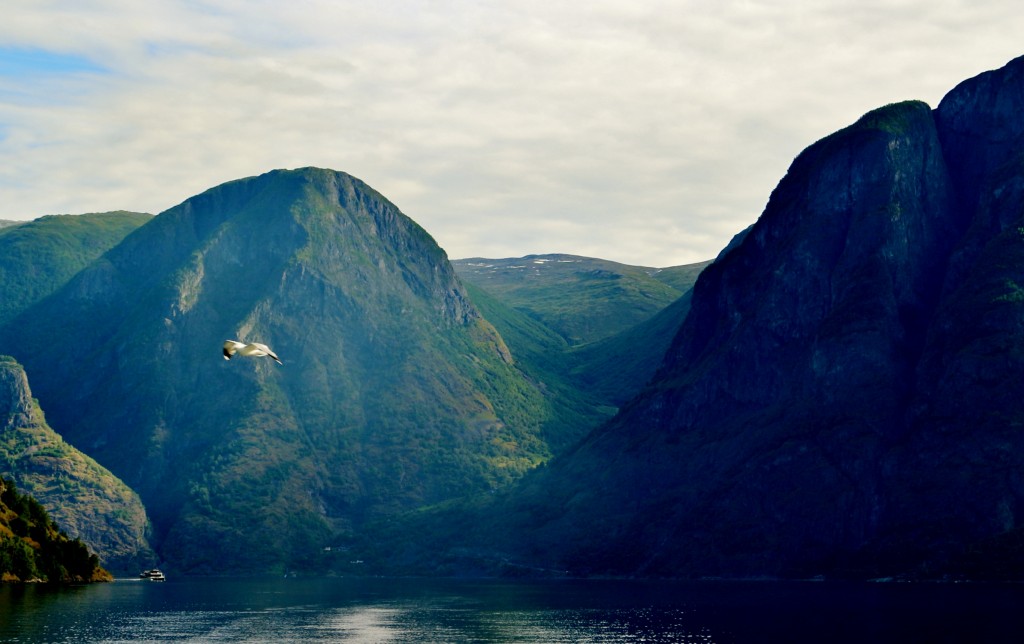 Foto: Navegando - Flam (Sogn og Fjordane), Noruega