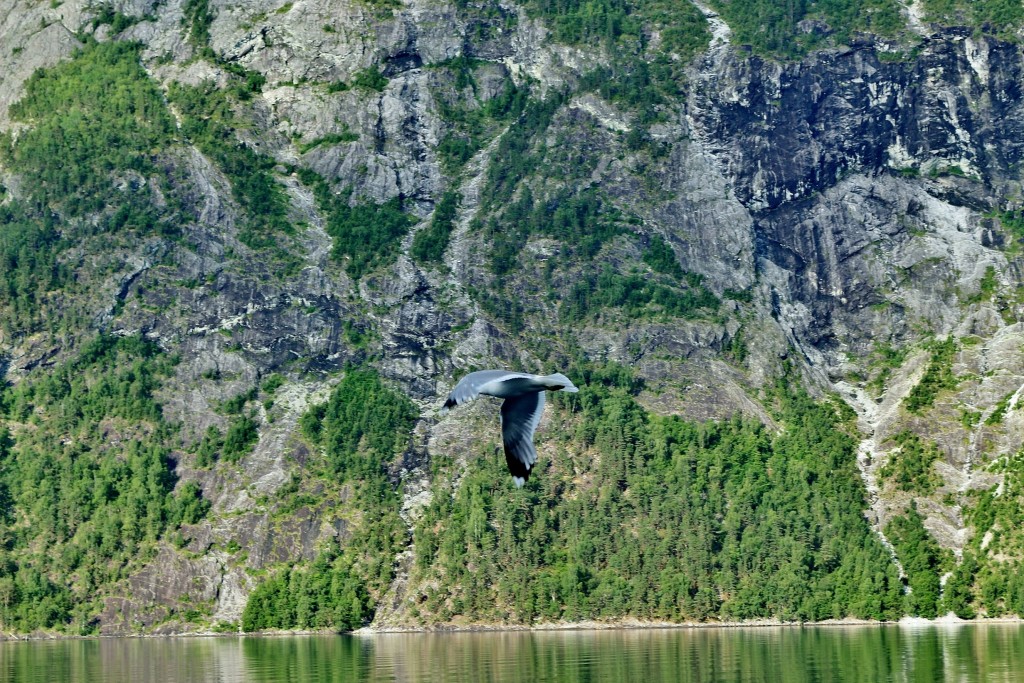 Foto: Navegando - Flam (Sogn og Fjordane), Noruega