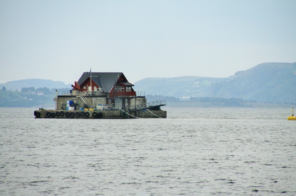 Foto: Navegando por el fiordo - Stavanger (Rogaland), Noruega