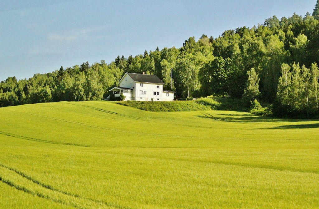 Foto: Paisaje - Lillehammer (Oppland), Noruega