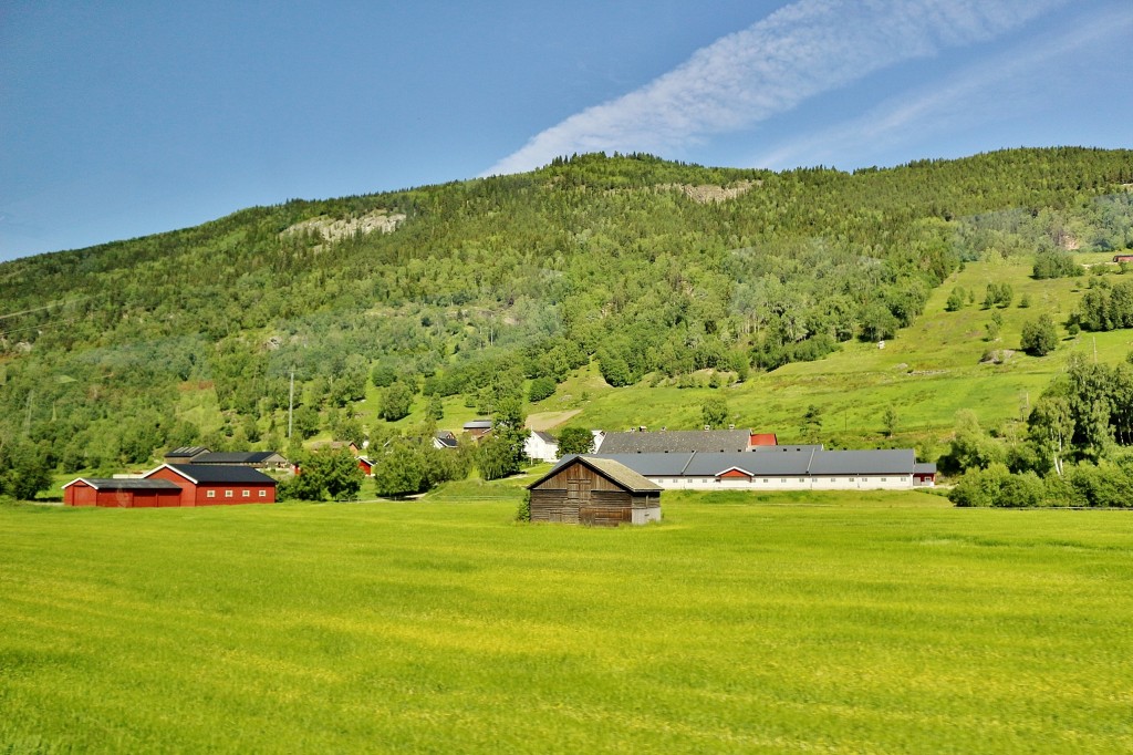 Foto: Paisaje - Lillehammer (Oppland), Noruega