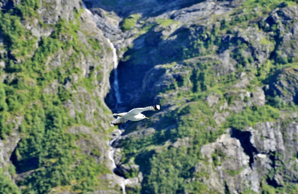 Foto: Geirangerfjord - Geiranger, Noruega