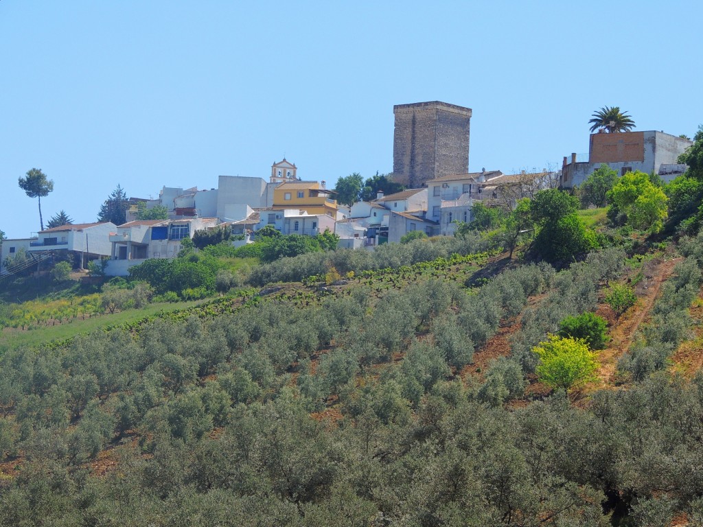 Foto de Monturque (Córdoba), España