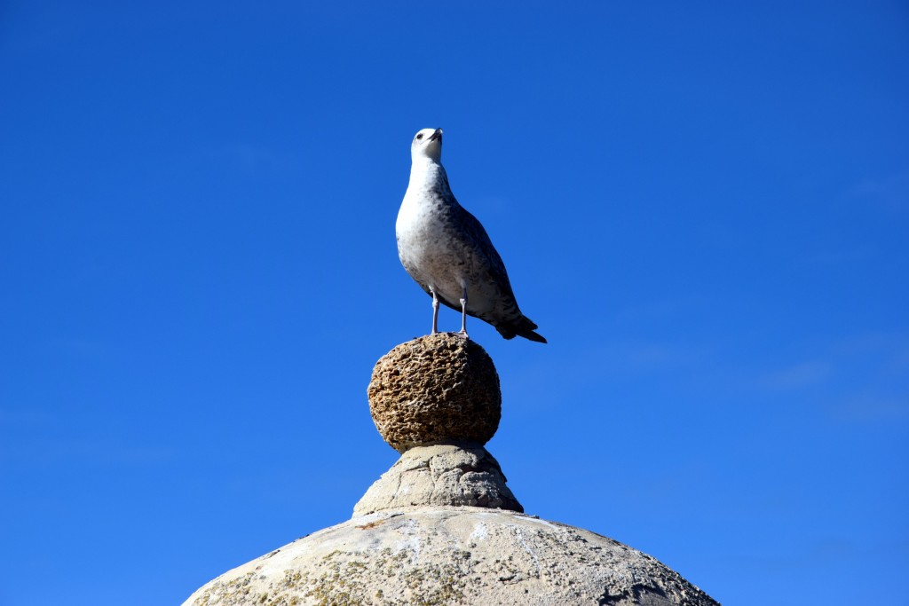 Foto de Cádiz (Andalucía), España