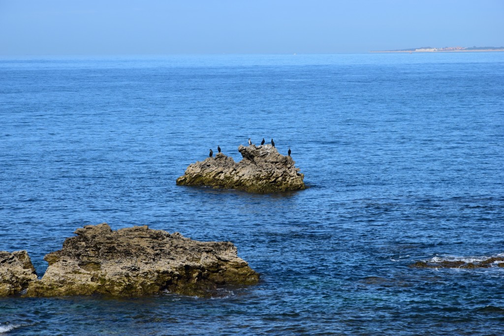 Foto de Cádiz (Andalucía), España