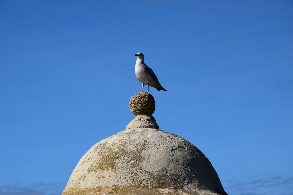 Foto de Cádiz (Andalucía), España