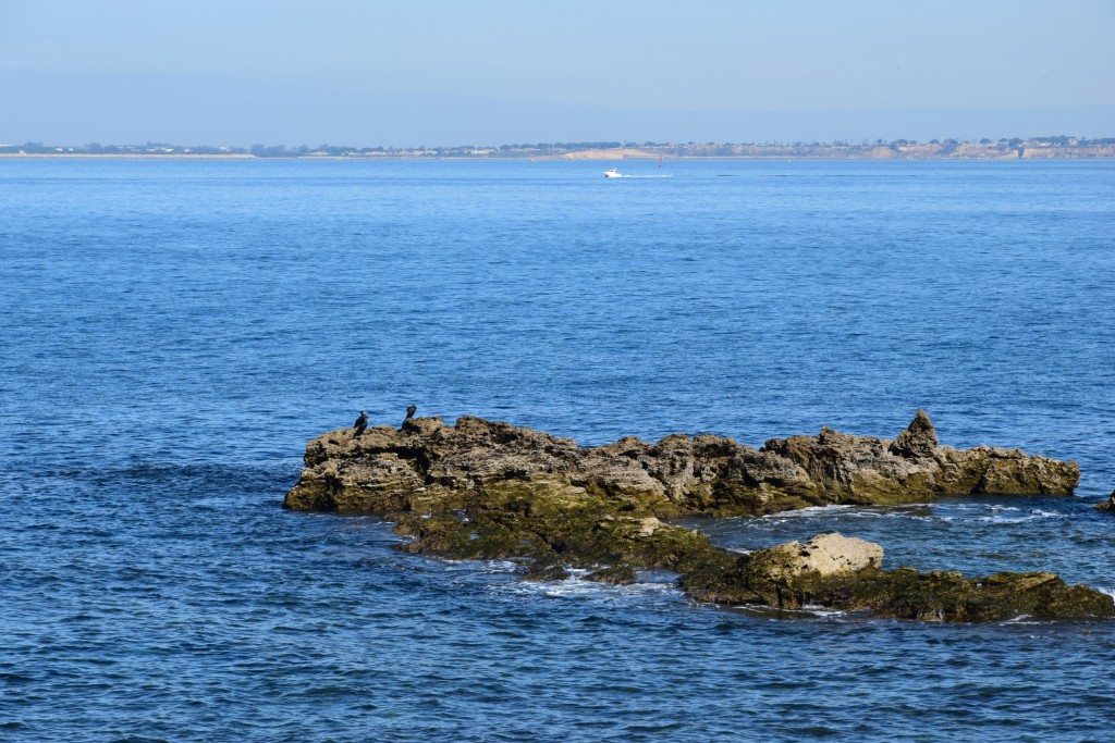 Foto de Cádiz (Andalucía), España