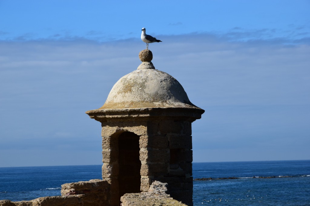 Foto de Cádiz (Andalucía), España