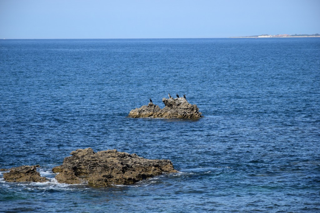 Foto de Cádiz (Andalucía), España