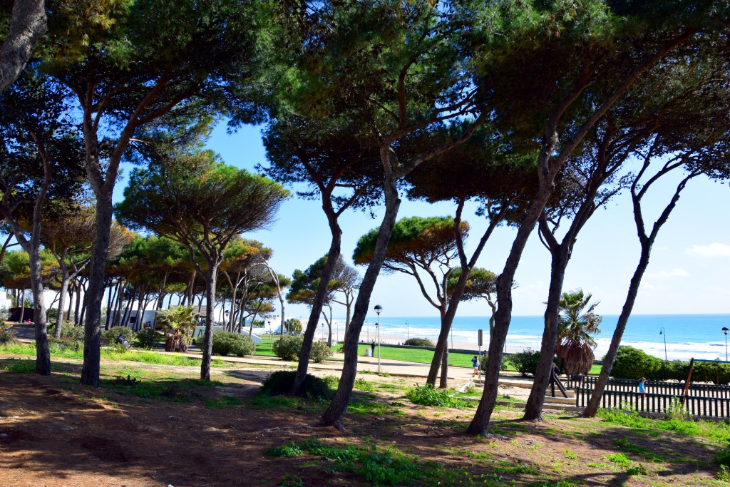 Foto de Conil de la Frontera (Cádiz), España