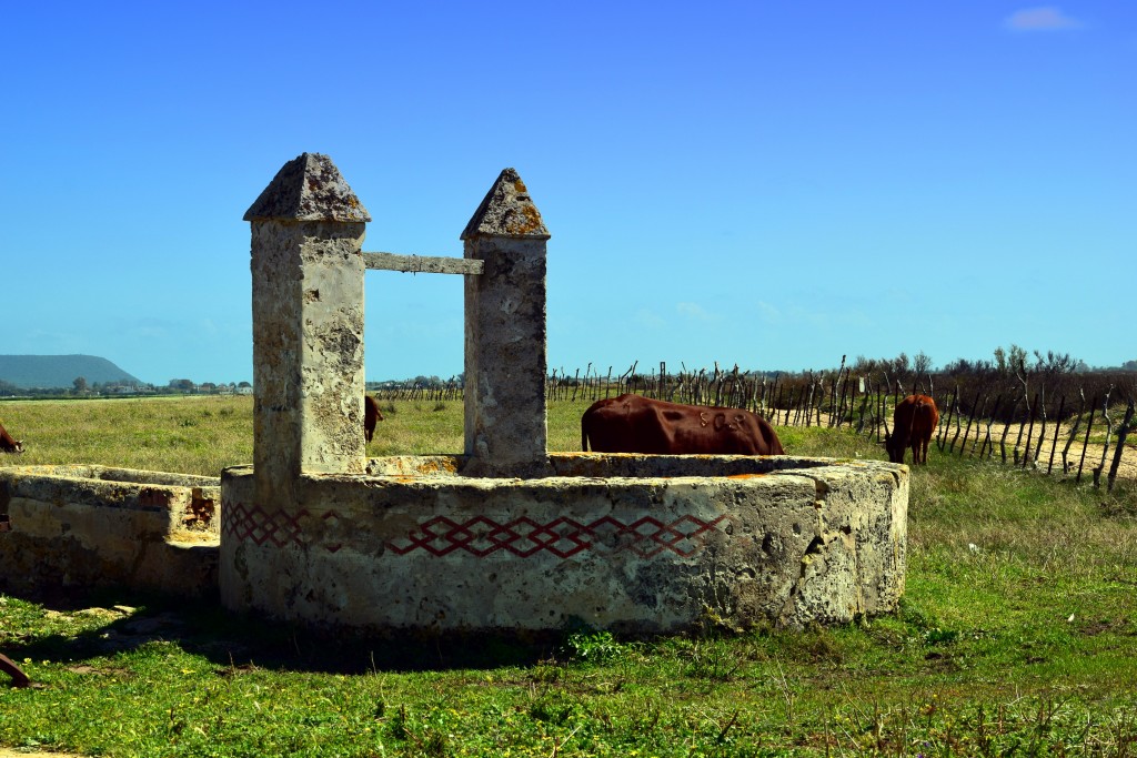 Foto de Conil de la Frontera (Cádiz), España