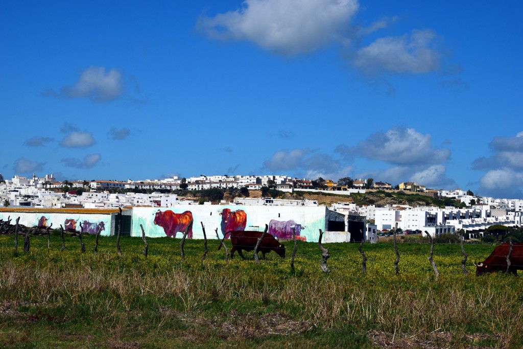 Foto de Conil de la Frontera (Cádiz), España