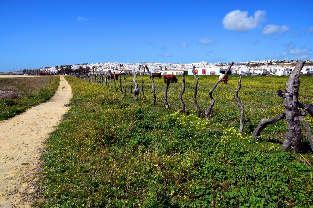 Foto de Conil de la Frontera (Cádiz), España