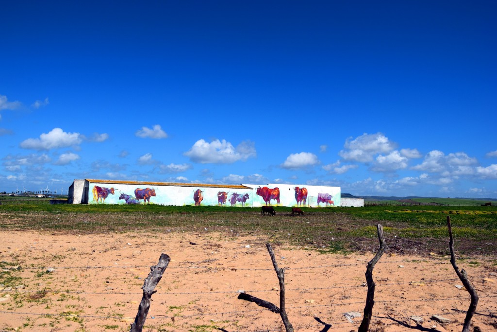 Foto de Conil de la Frontera (Cádiz), España