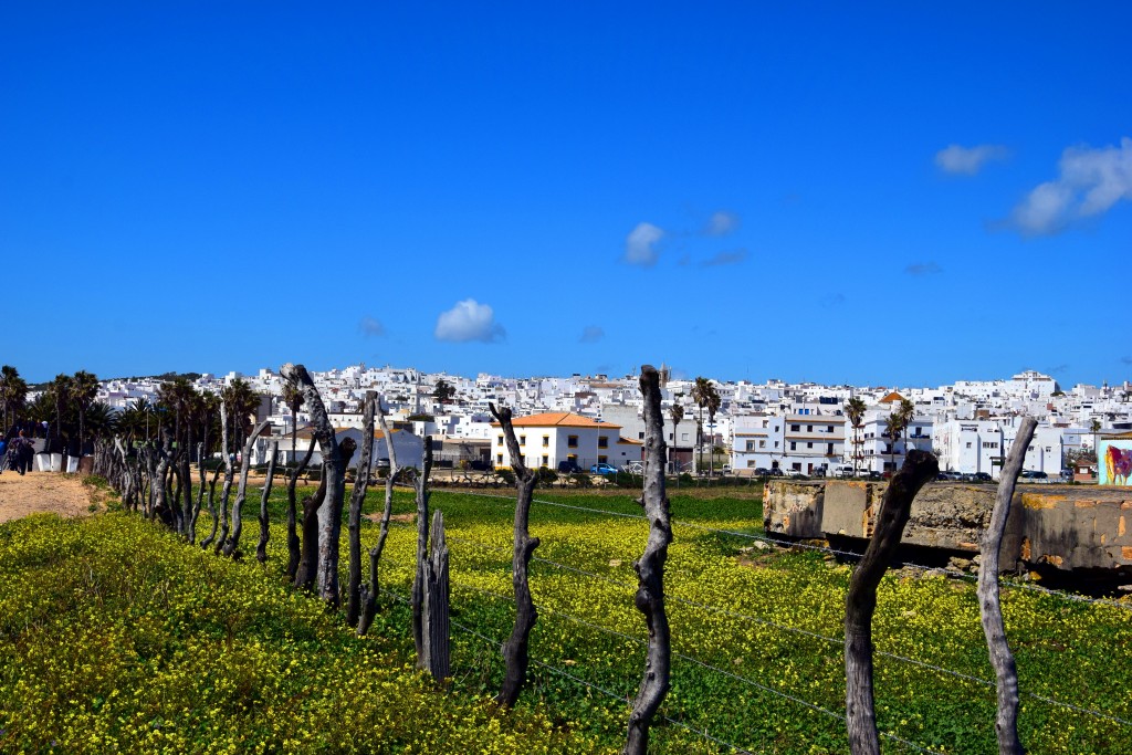 Foto de Conil de la Frontera (Cádiz), España