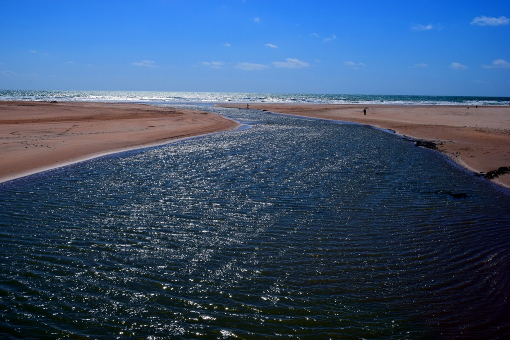 Foto de Conil de la Frontera (Cádiz), España